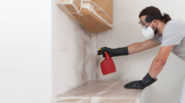 Professional Mold Testing technician working in Akron, NY